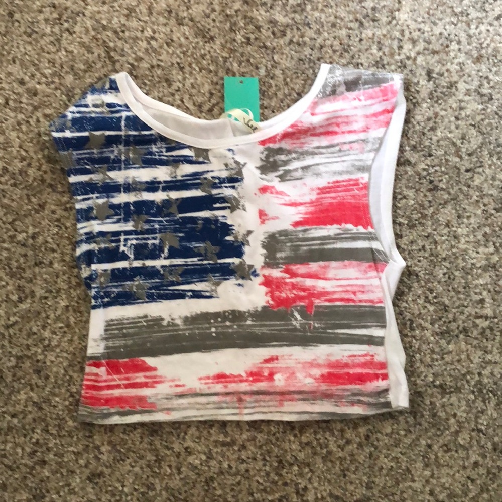 4th of July American flag crop top